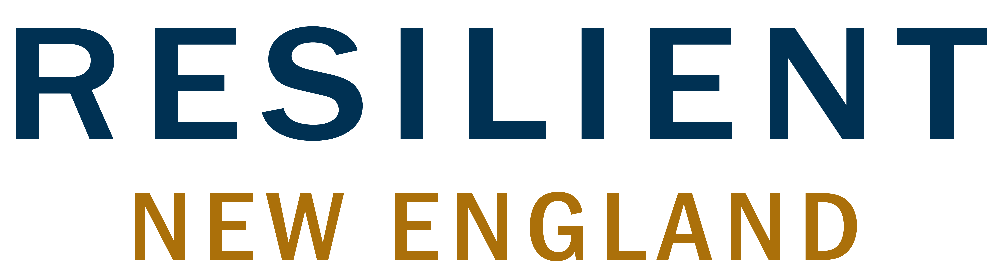 Resilient New England